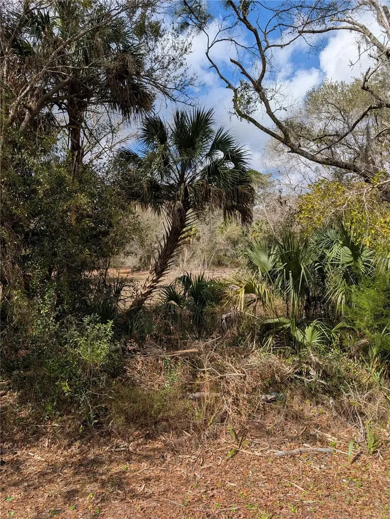 Lorie Street Inglis FL 34449