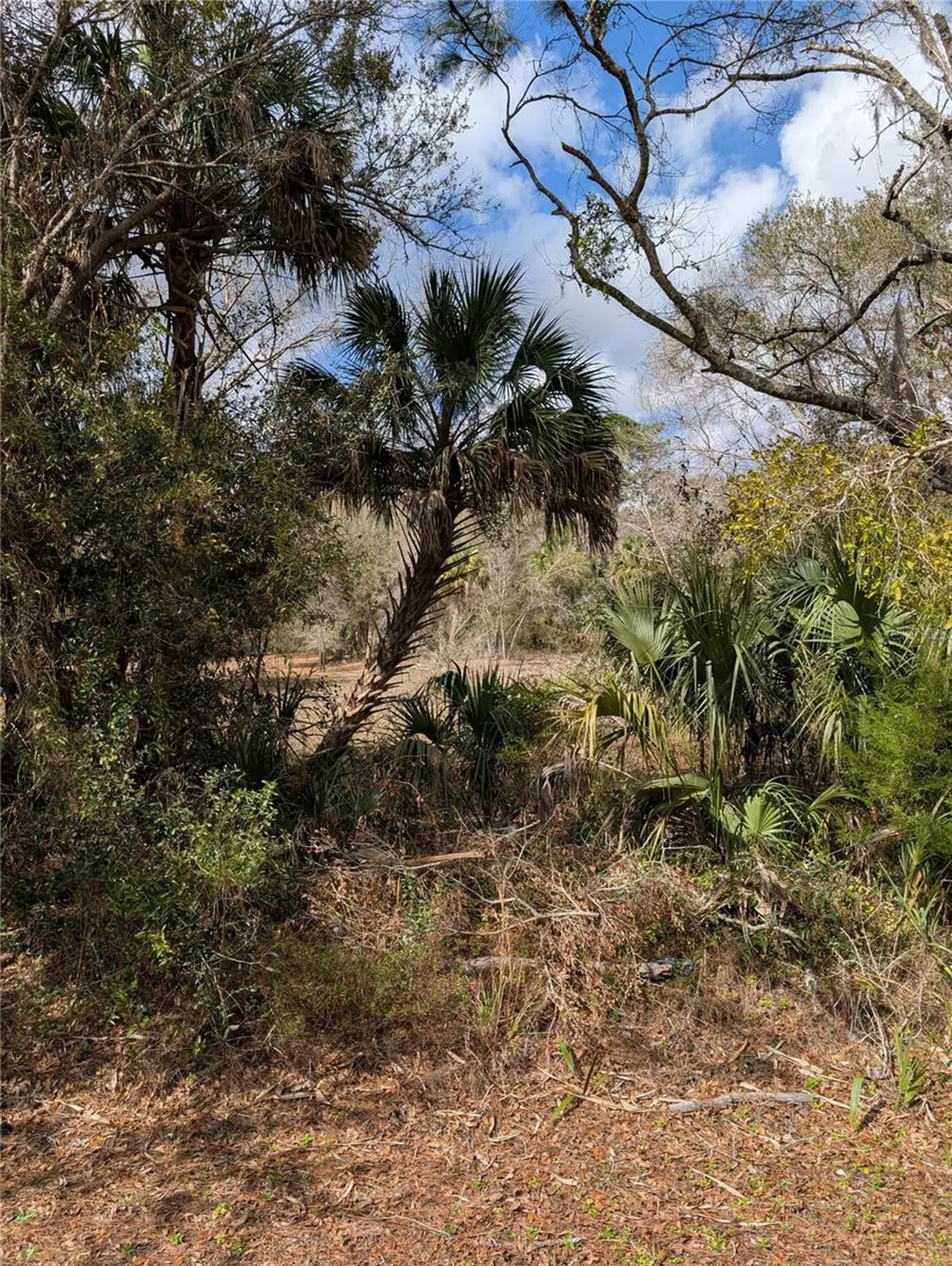 Lorie Street Inglis FL 34449