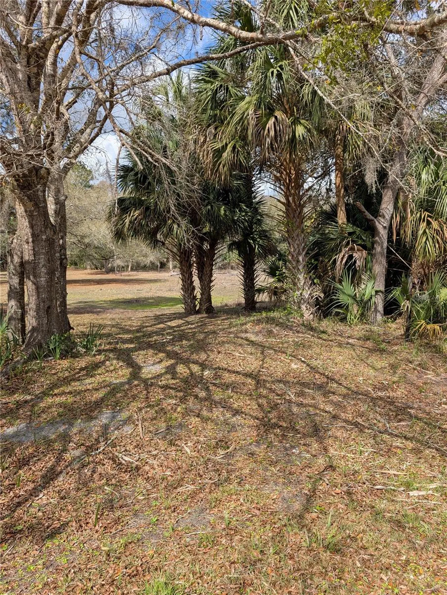 Lorie Street Inglis FL 34449
