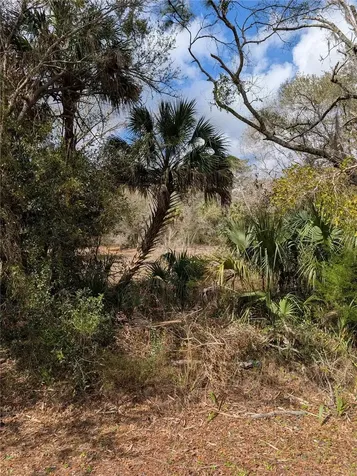 Lorie Street Inglis FL 34449
