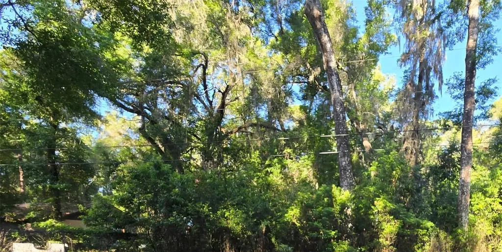 SE 28th Court Summerfield FL 34491