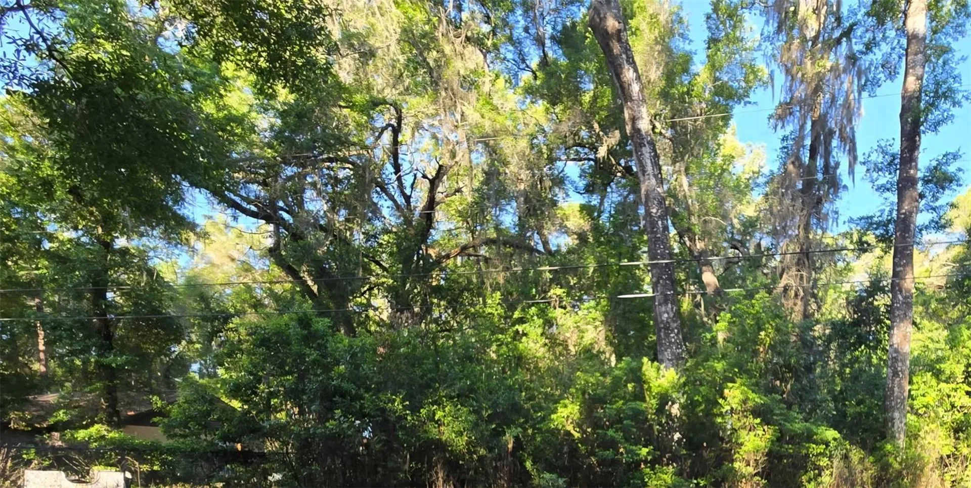 SE 28th Court Summerfield FL 34491