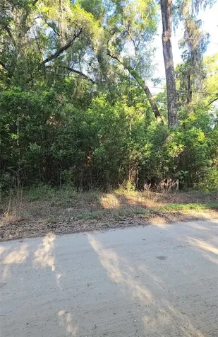 SE 28th Court Summerfield FL 34491