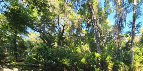 SE 28th Court Summerfield FL 34491