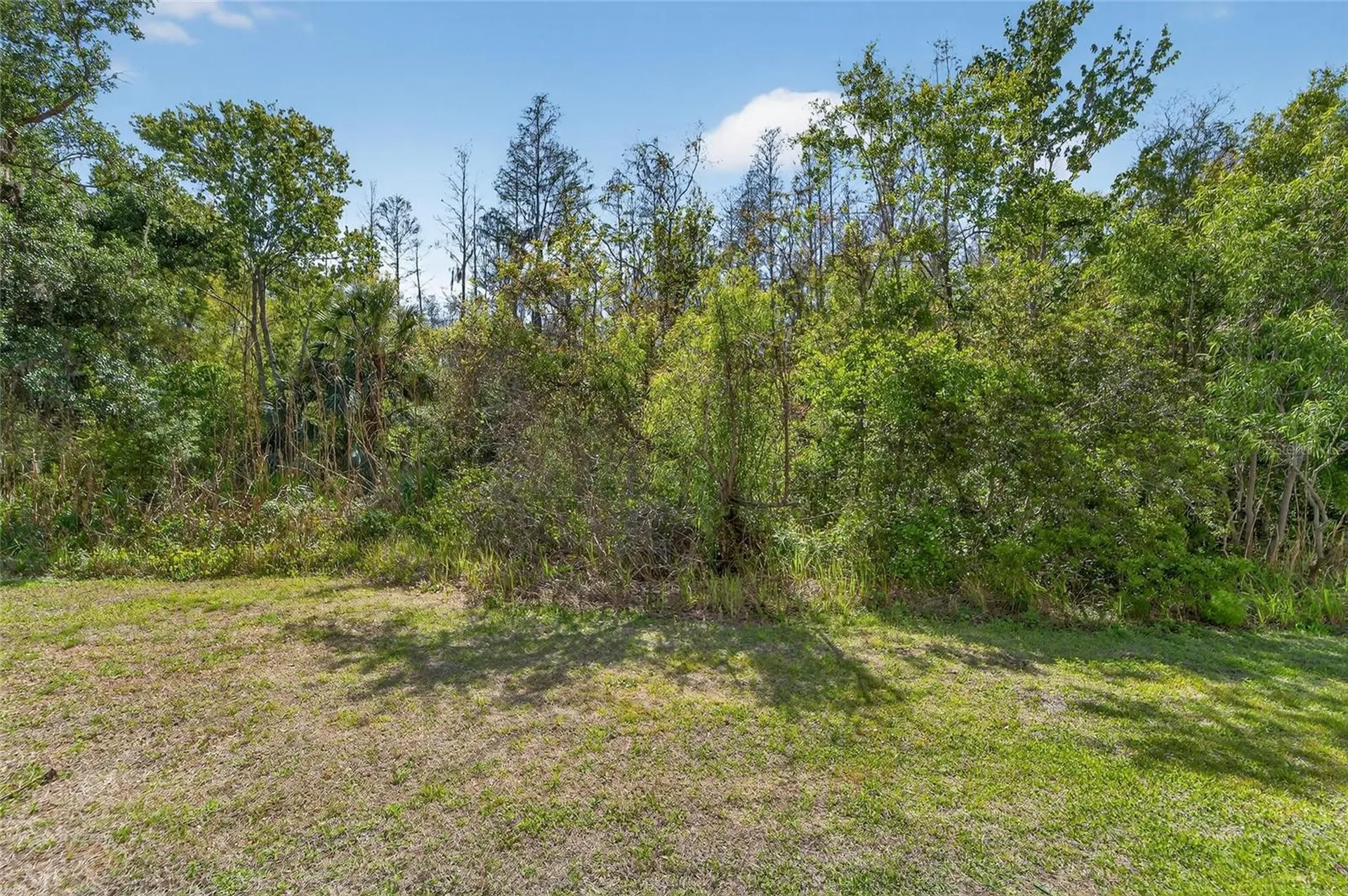 10849 Dragonwood Drive Tampa FL 33647