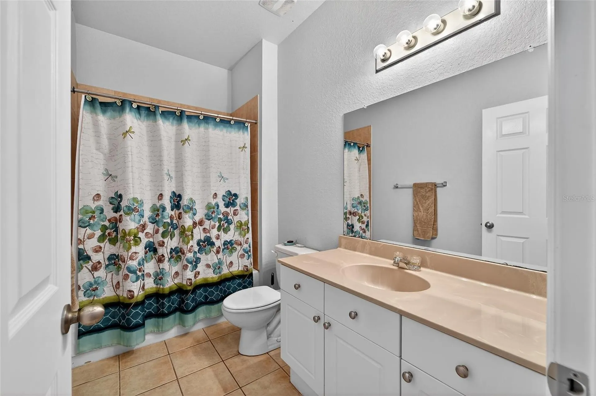 10849 Dragonwood Drive Tampa FL 33647