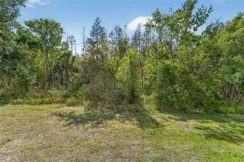 10849 Dragonwood Drive Tampa FL 33647