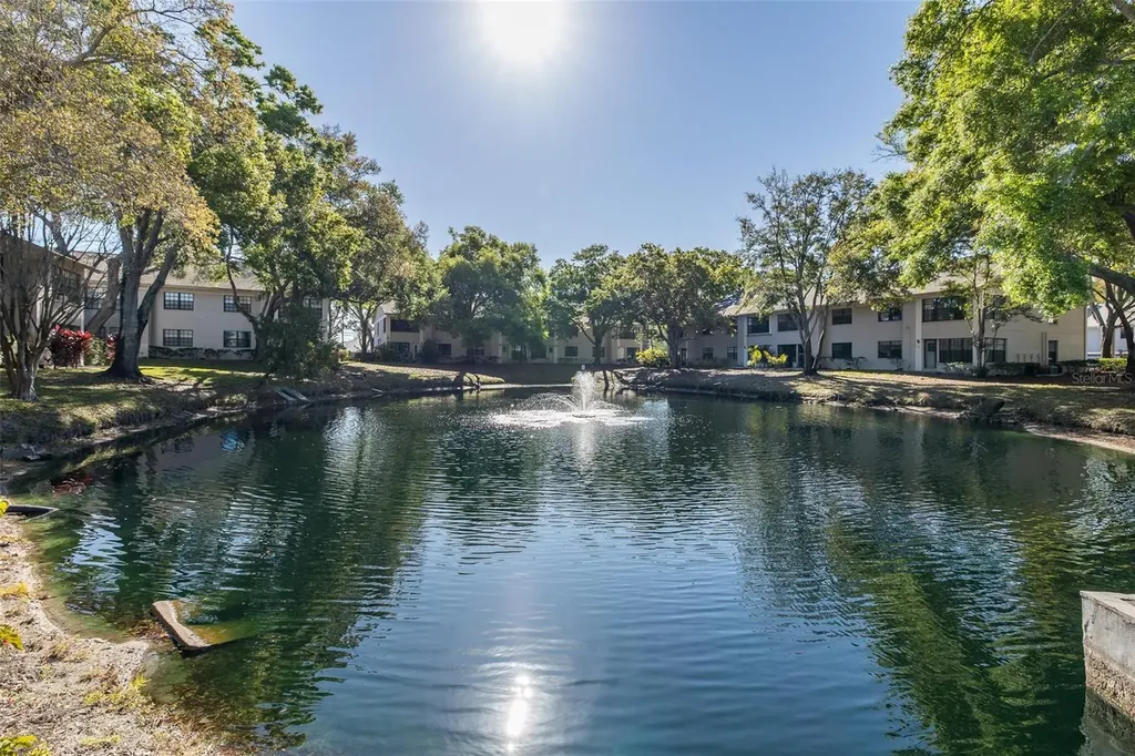 2155 Elm Street Dunedin FL 34698