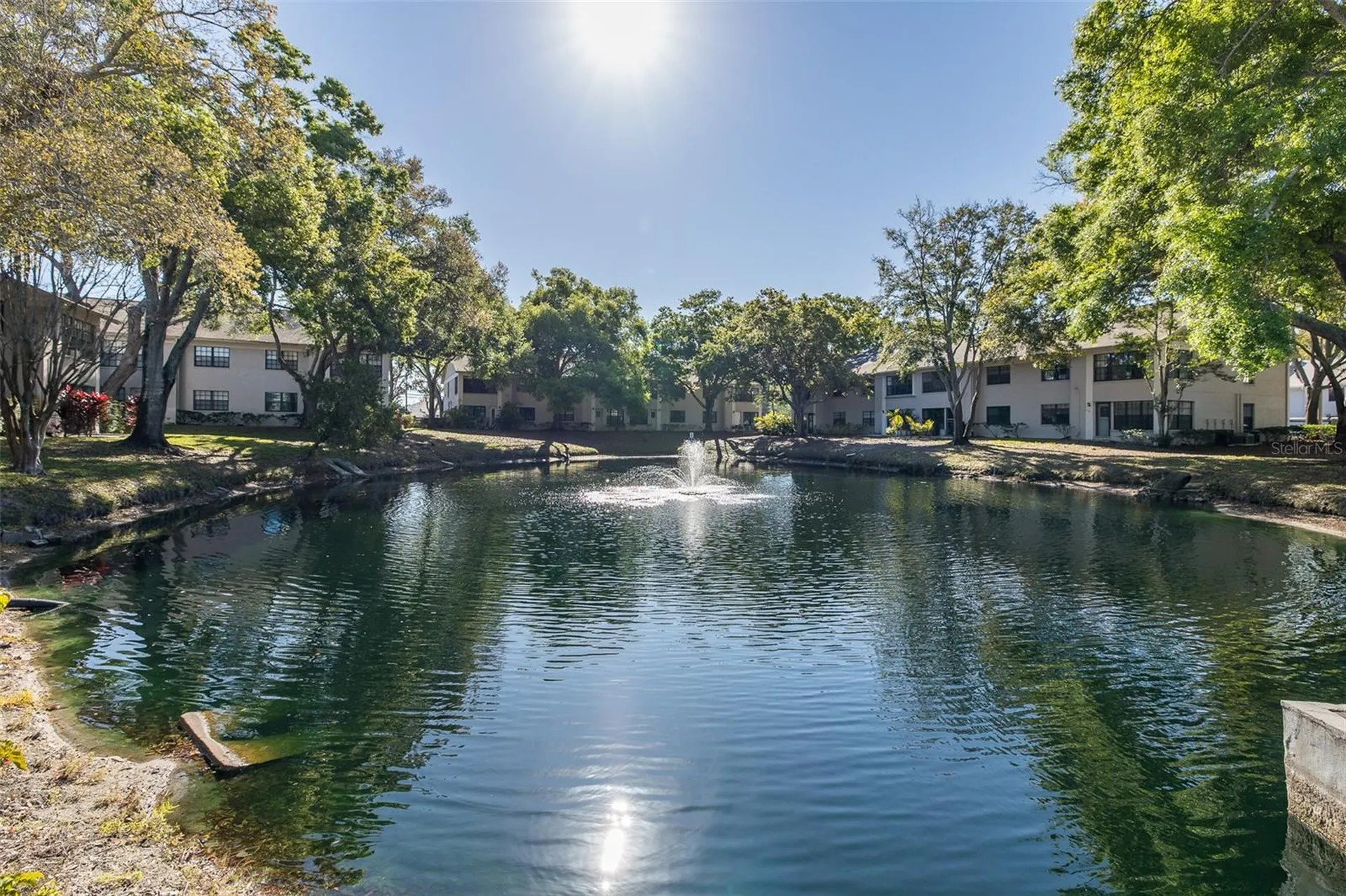 2155 Elm Street Dunedin FL 34698