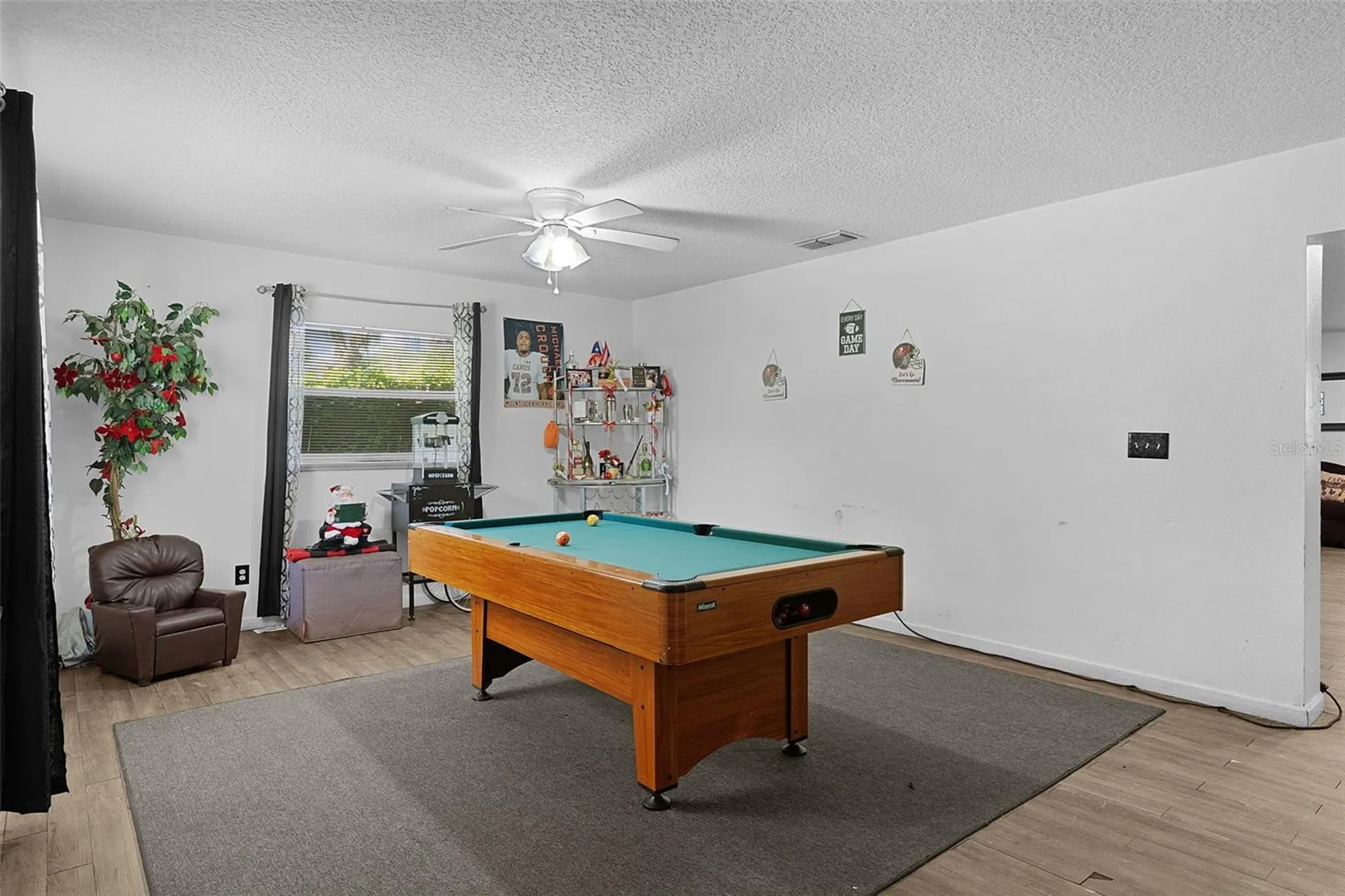 1124 E Grant Avenue Mount Dora FL 32757