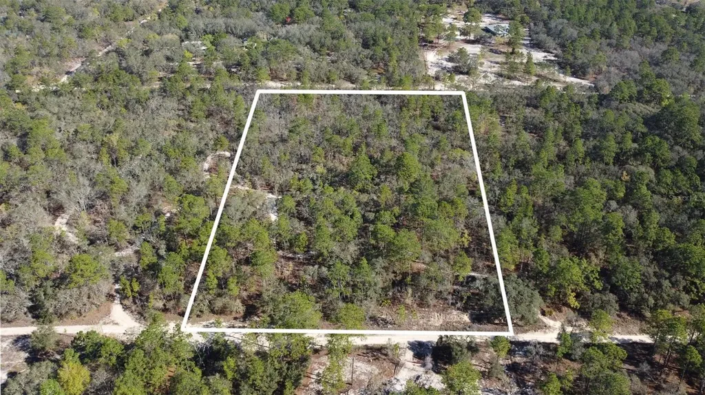 4771 W Herman Court Homosassa FL 34446