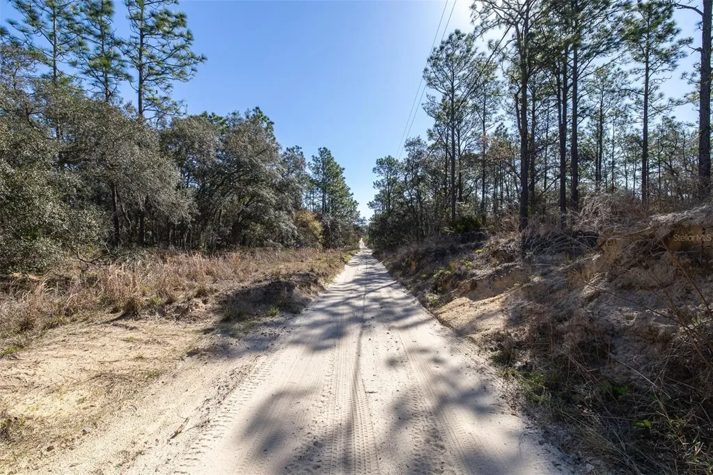 4771 W Herman Court Homosassa FL 34446