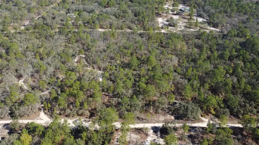 4771 W Herman Court Homosassa FL 34446