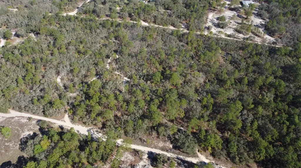 4771 W Herman Court Homosassa FL 34446
