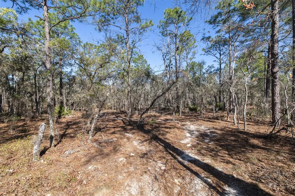 4771 W Herman Court Homosassa FL 34446