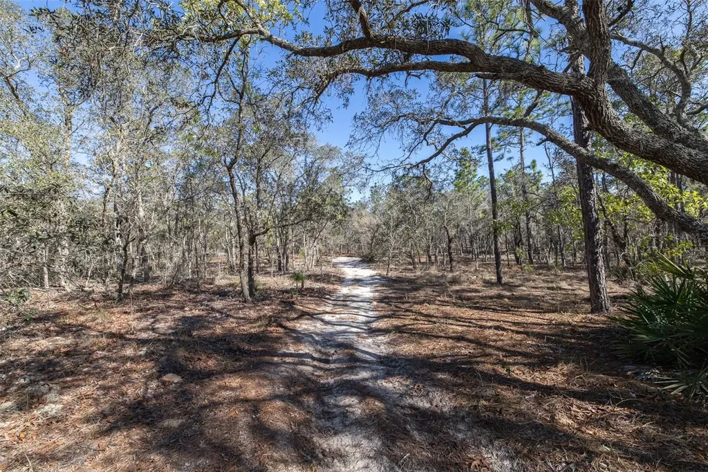 4771 W Herman Court Homosassa FL 34446