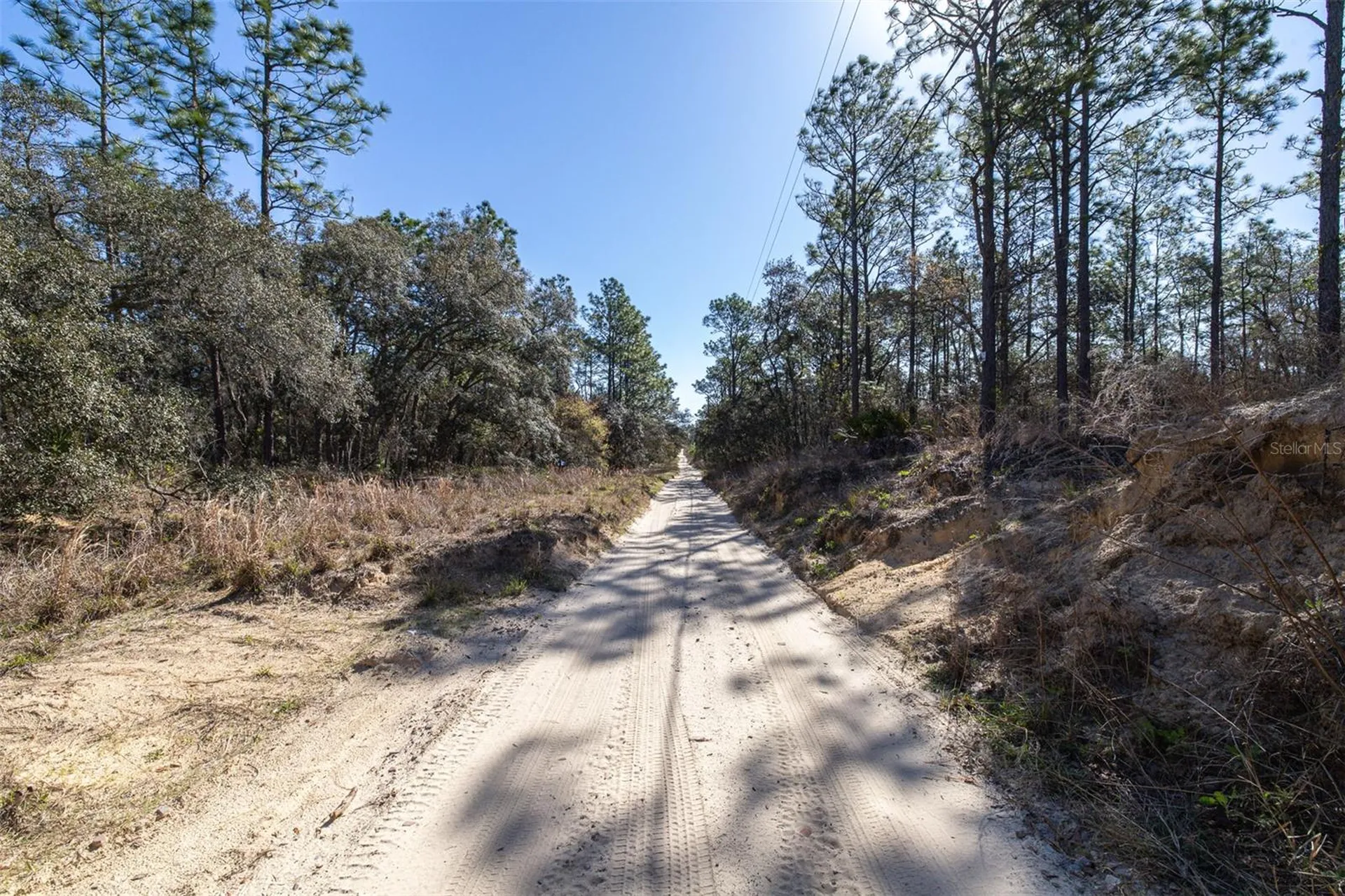 4771 W Herman Court Homosassa FL 34446