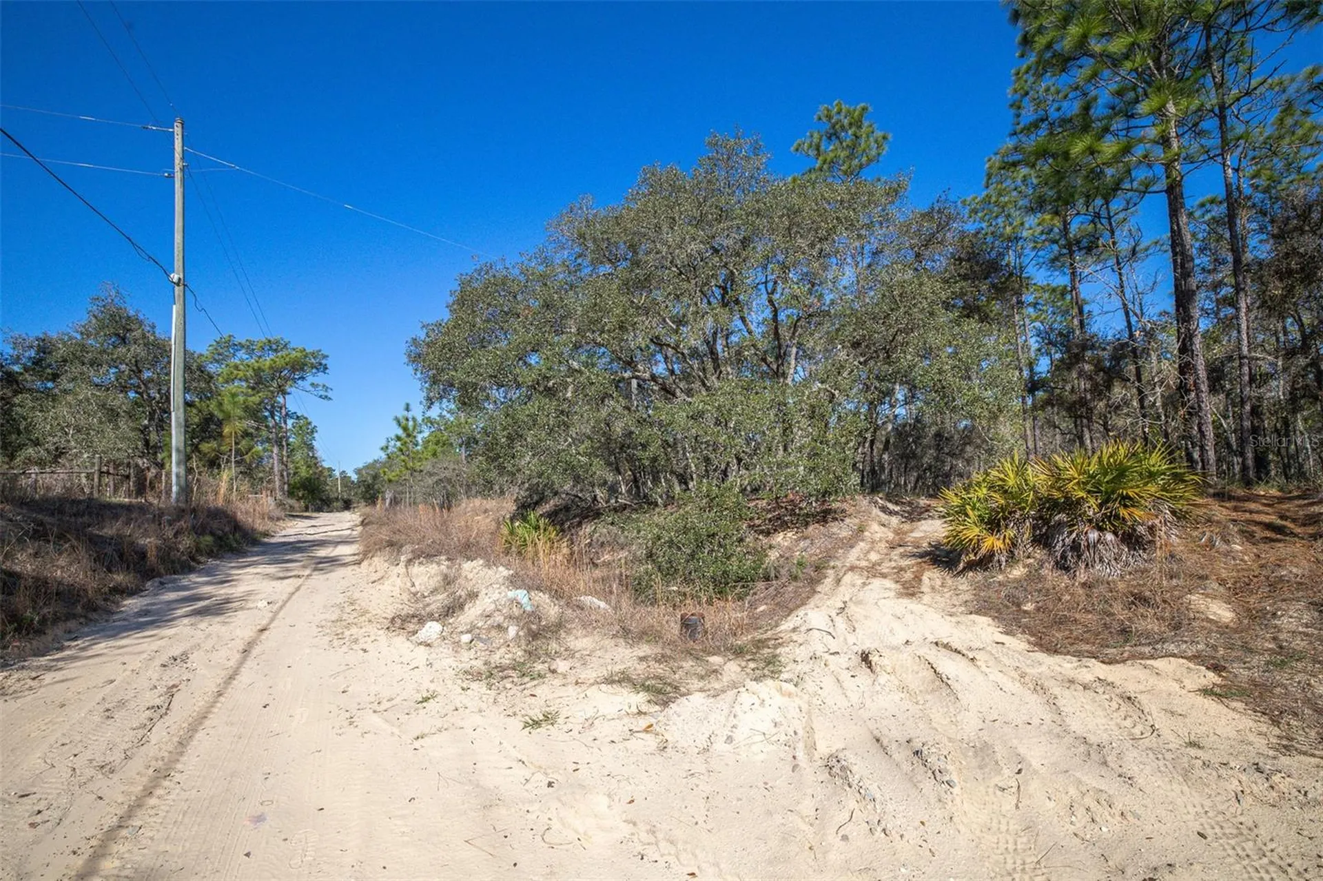4771 W Herman Court Homosassa FL 34446