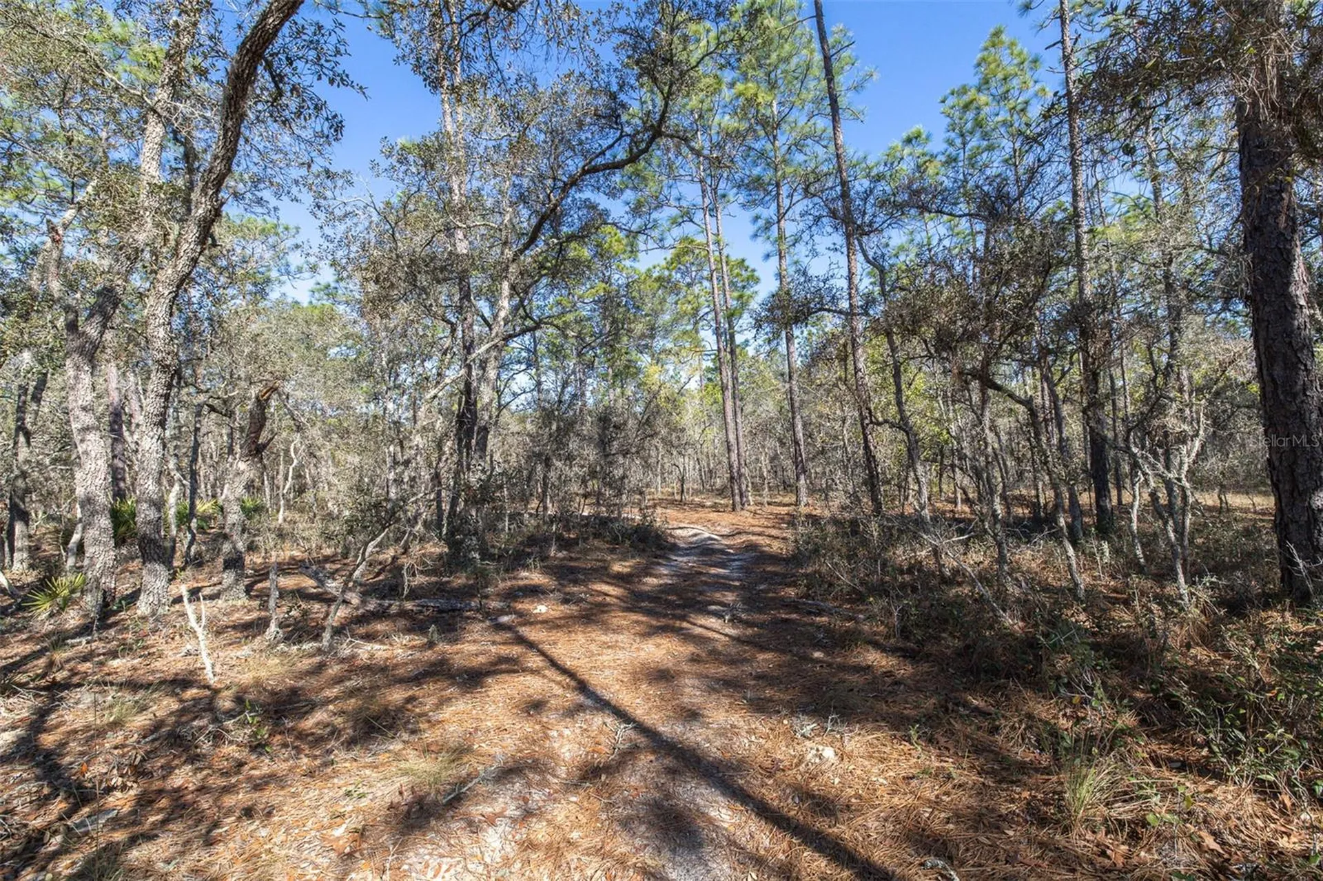 4771 W Herman Court Homosassa FL 34446