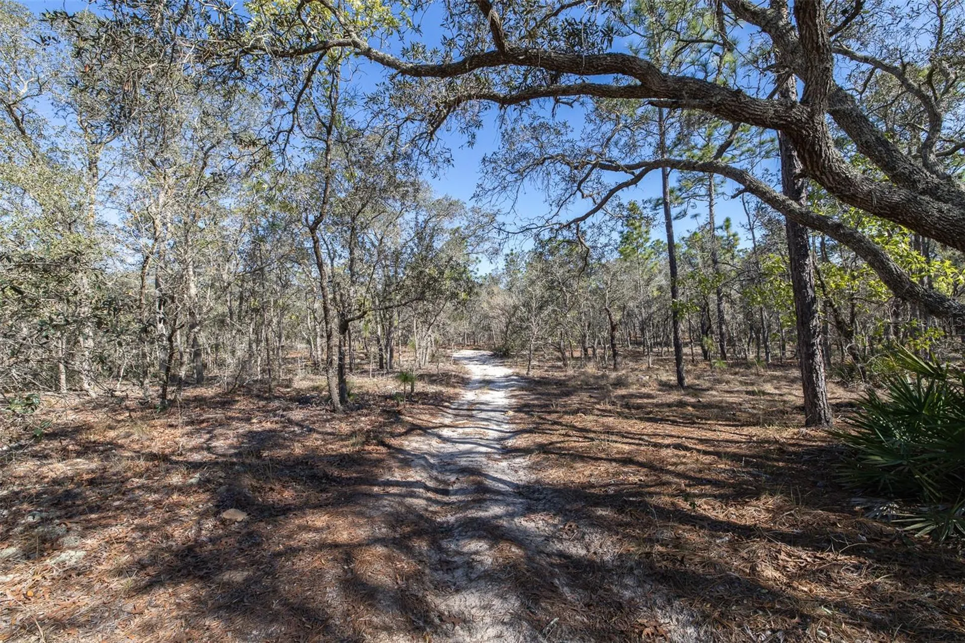 4771 W Herman Court Homosassa FL 34446
