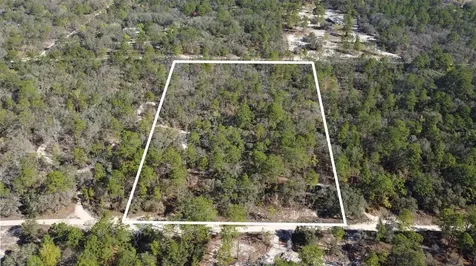 4771 W Herman Court Homosassa FL 34446