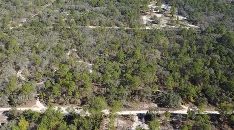 4771 W Herman Court Homosassa FL 34446