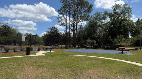9207 Rockrose Drive Tampa FL 33647