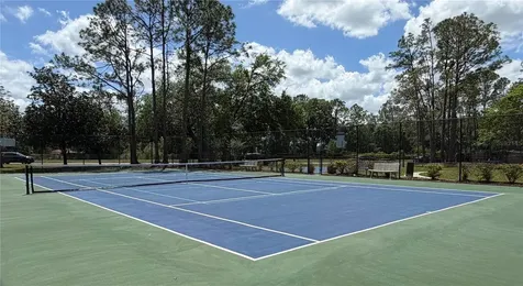 9207 Rockrose Drive Tampa FL 33647