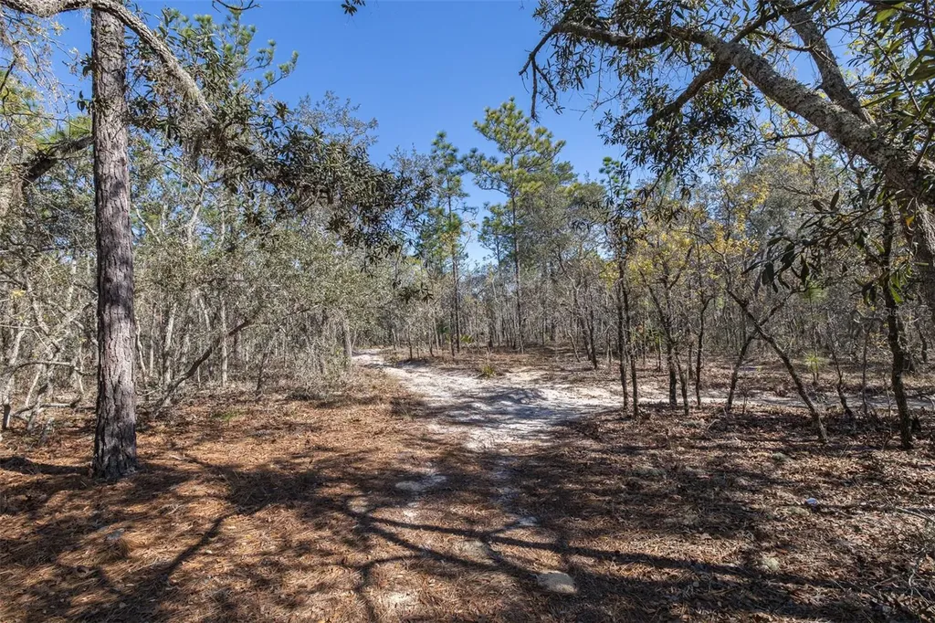 4845 W Herman Court Homosassa FL 34446