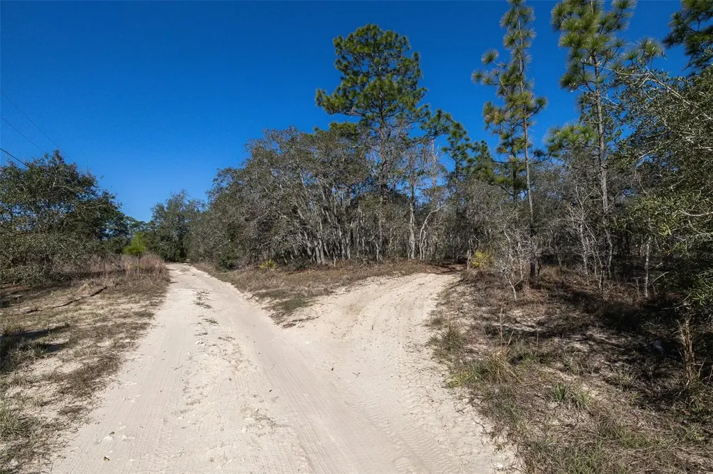 4845 W Herman Court Homosassa FL 34446