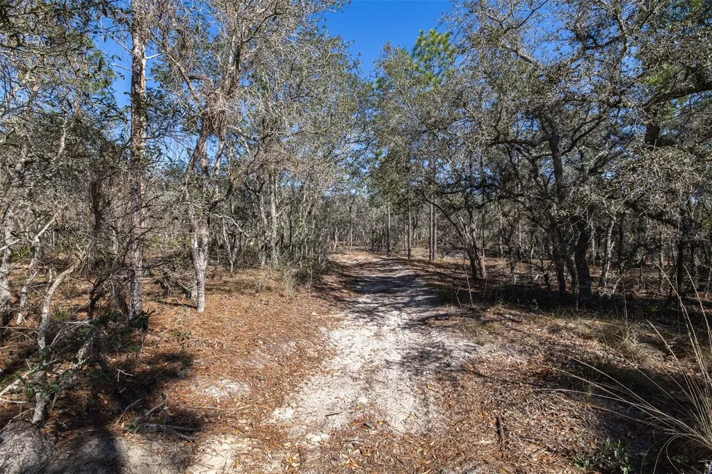 4845 W Herman Court Homosassa FL 34446