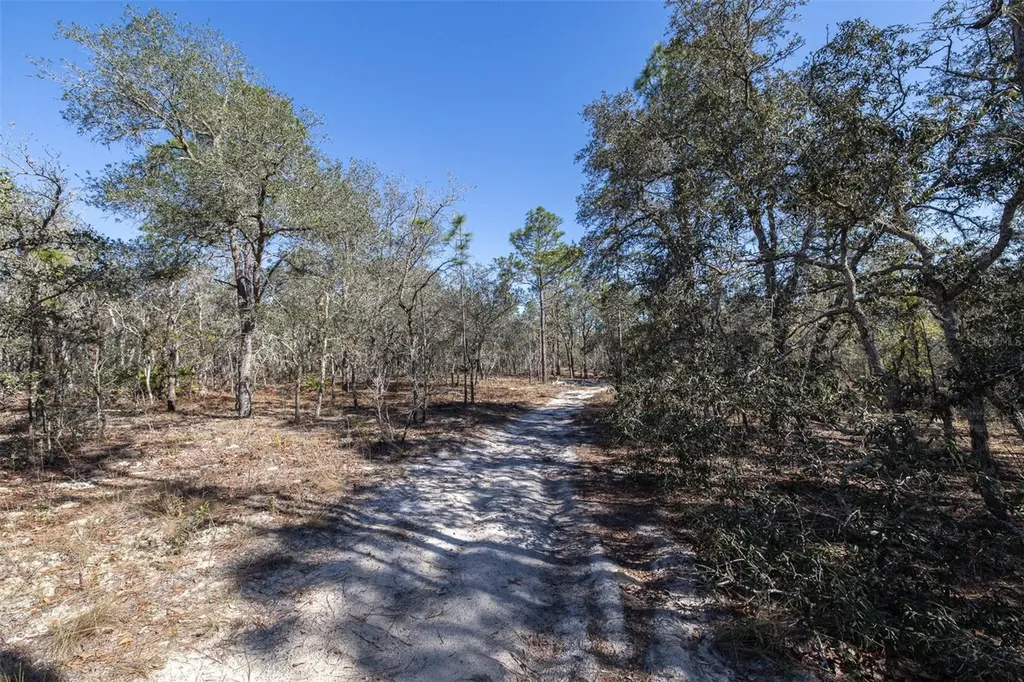 4845 W Herman Court Homosassa FL 34446