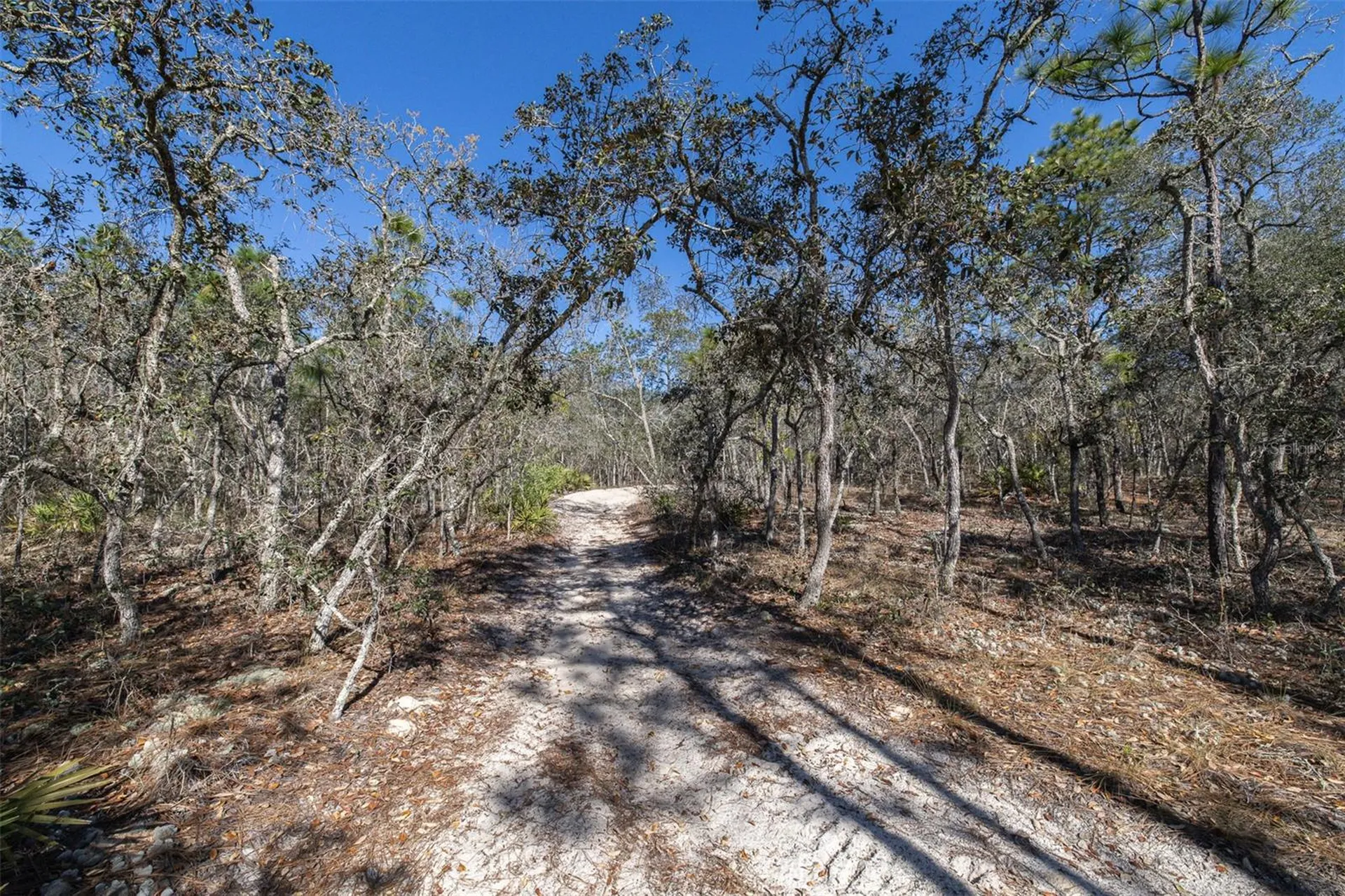 4845 W Herman Court Homosassa FL 34446