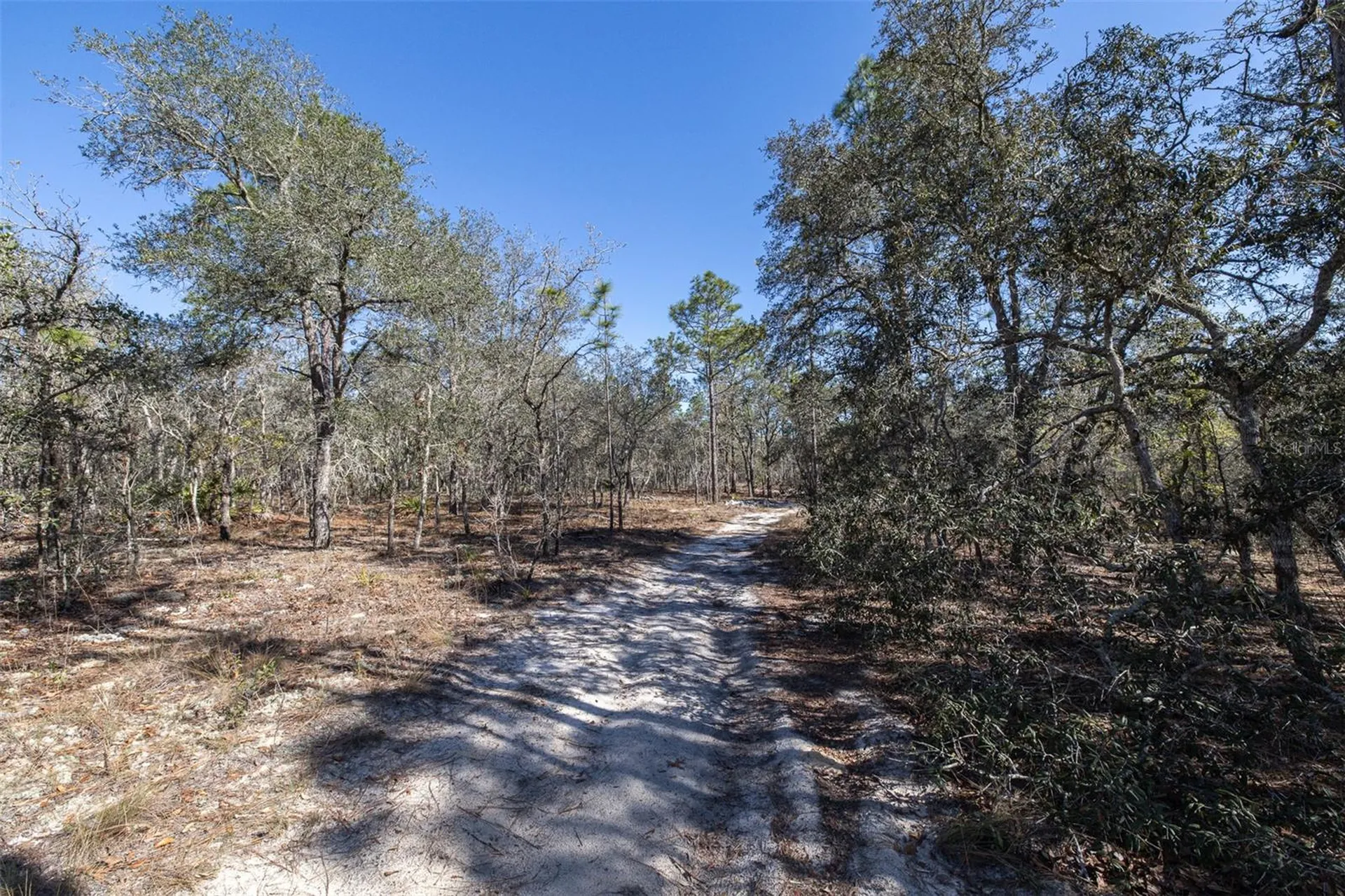 4845 W Herman Court Homosassa FL 34446