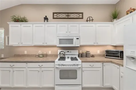 1667 Abernethy Place The Villages FL 32162