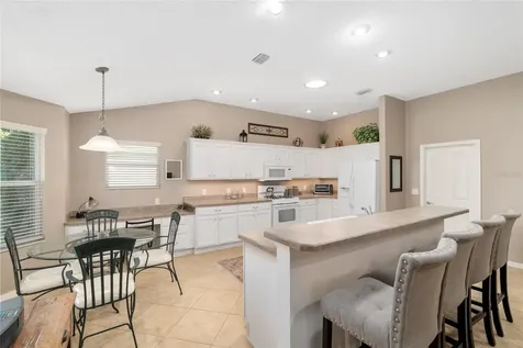 1667 Abernethy Place The Villages FL 32162