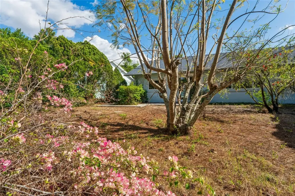 4251 Woodfield Avenue Holiday FL 34691
