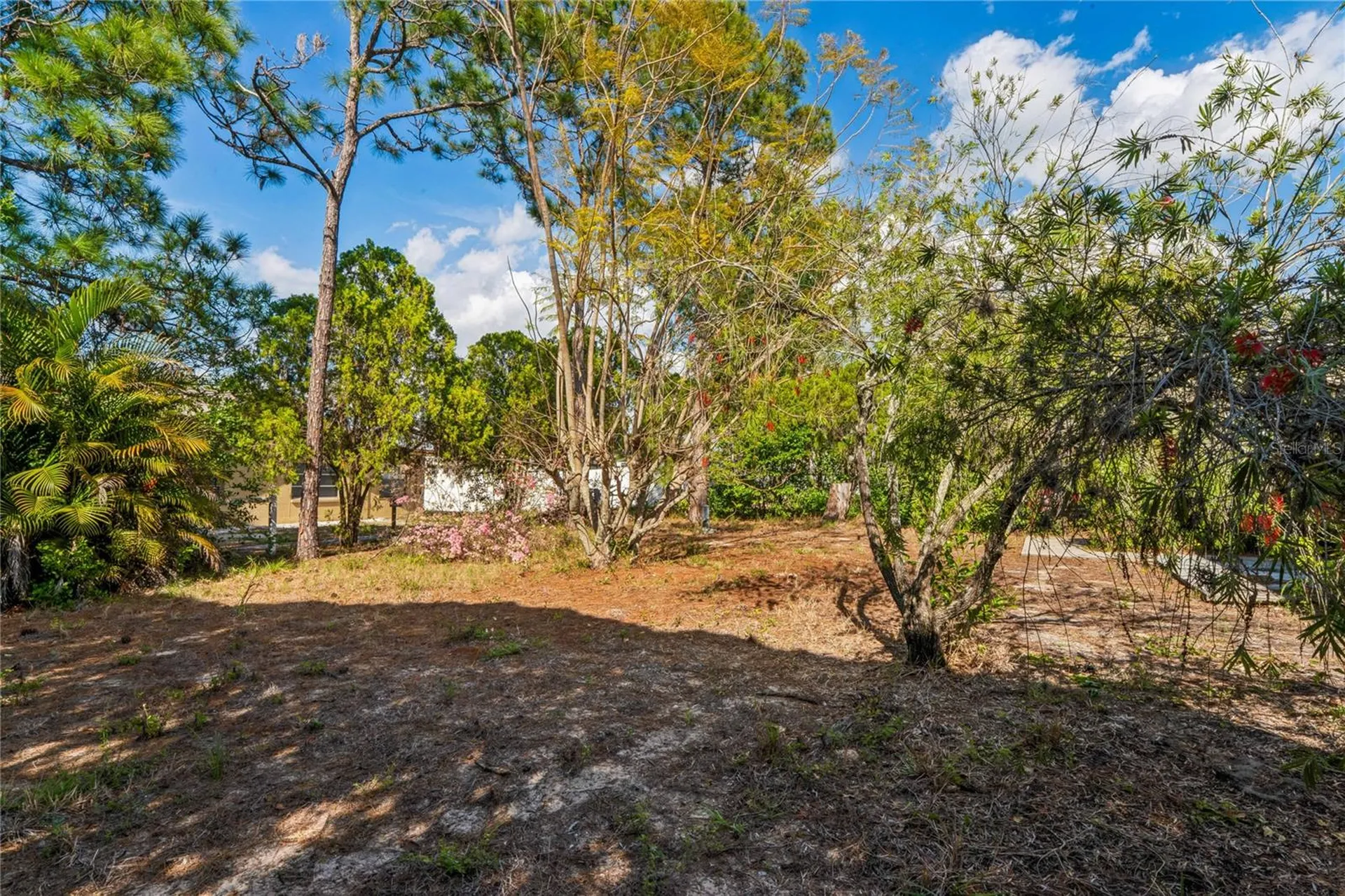 4251 Woodfield Avenue Holiday FL 34691