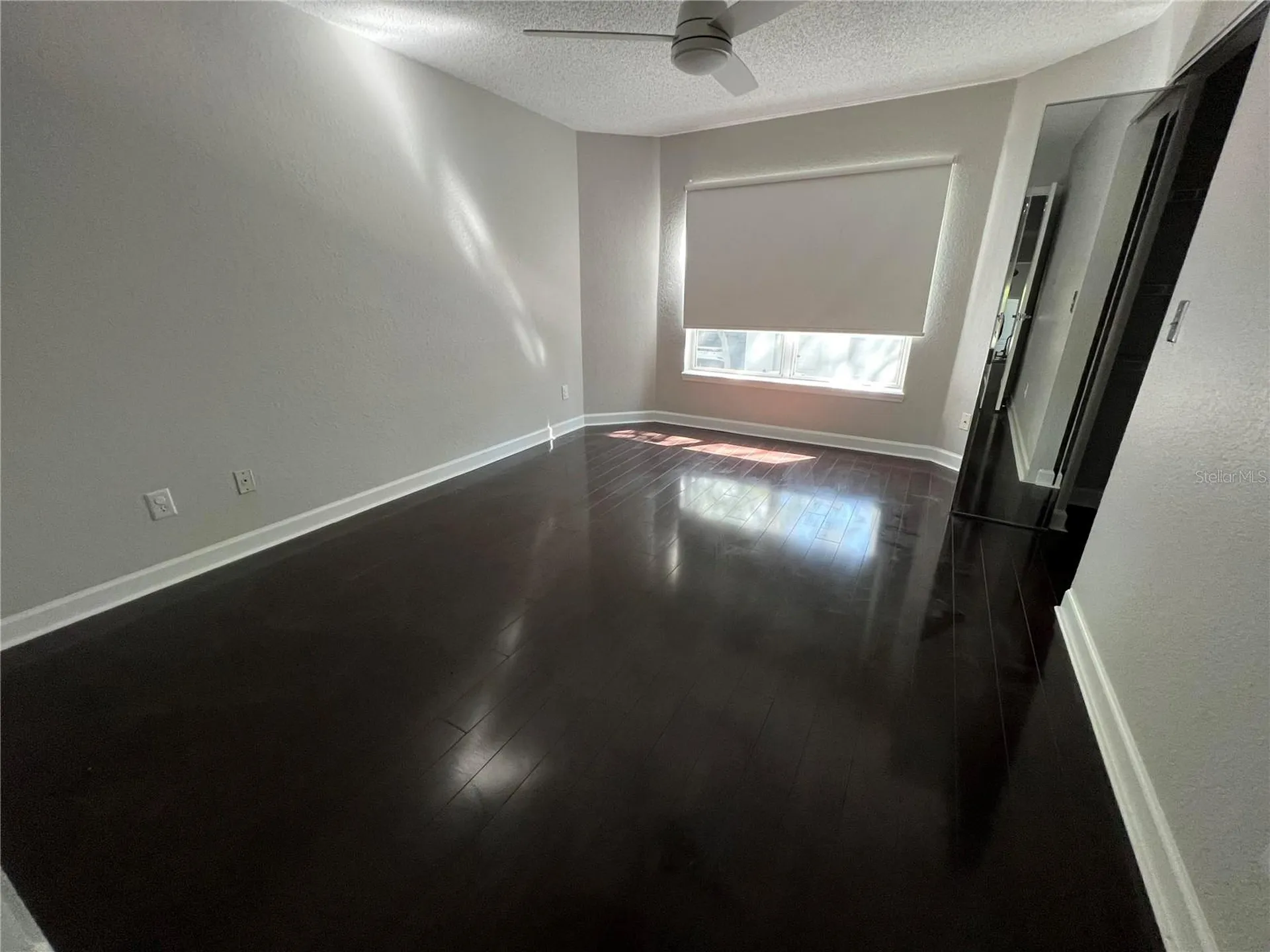 717 Mainsail Drive Tampa FL 33602