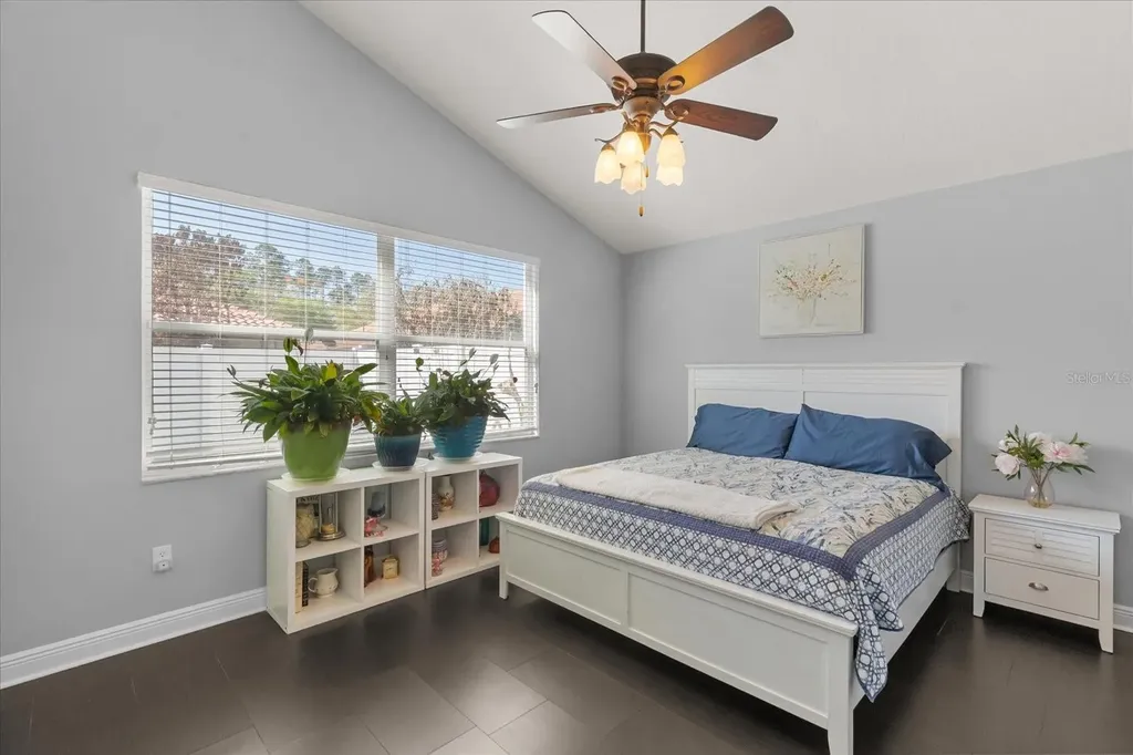 10207 Arbor Side Drive Tampa FL 33647