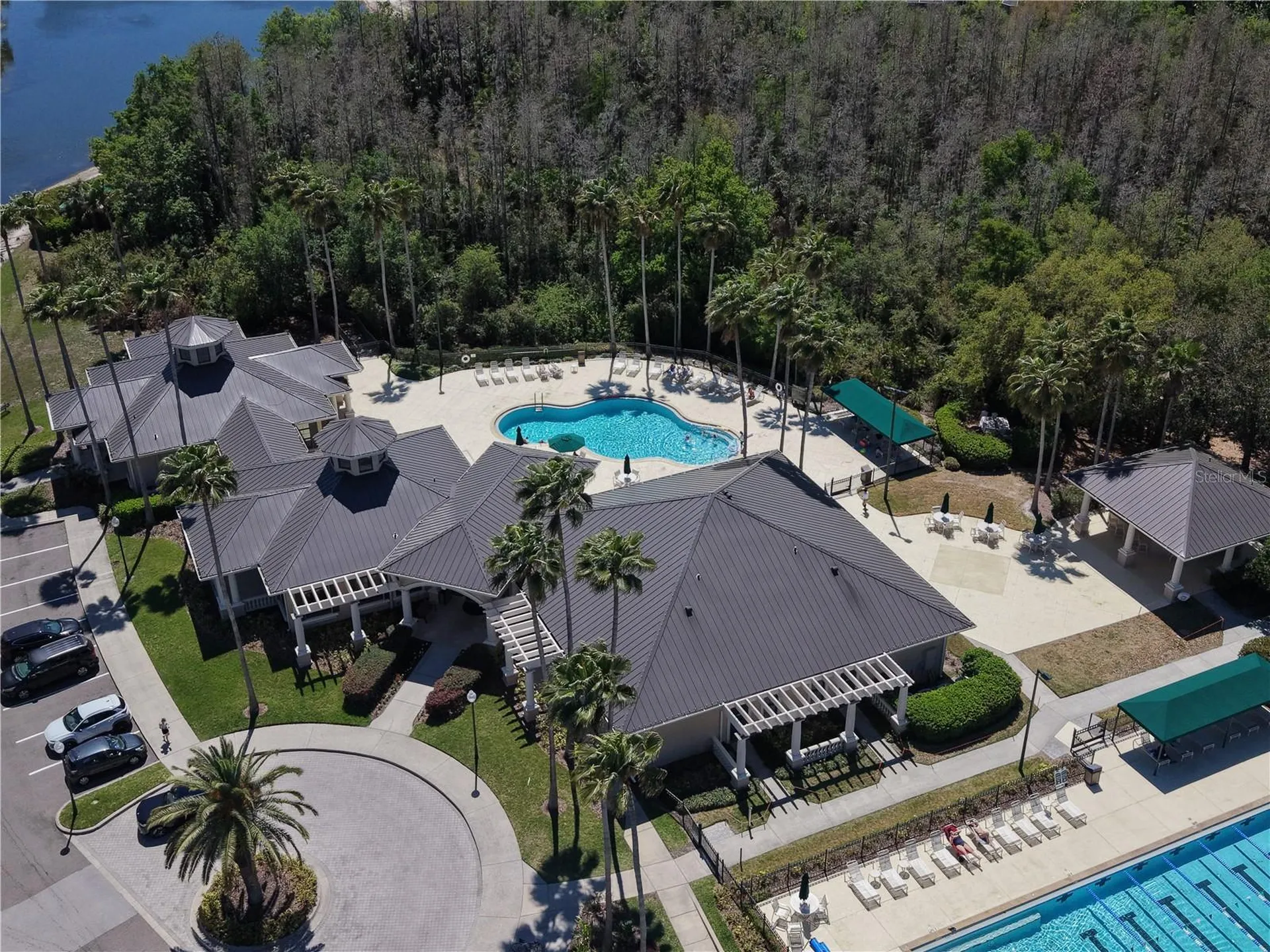 10207 Arbor Side Drive Tampa FL 33647