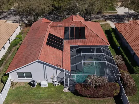 10207 Arbor Side Drive Tampa FL 33647