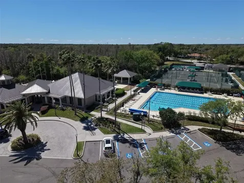 10207 Arbor Side Drive Tampa FL 33647