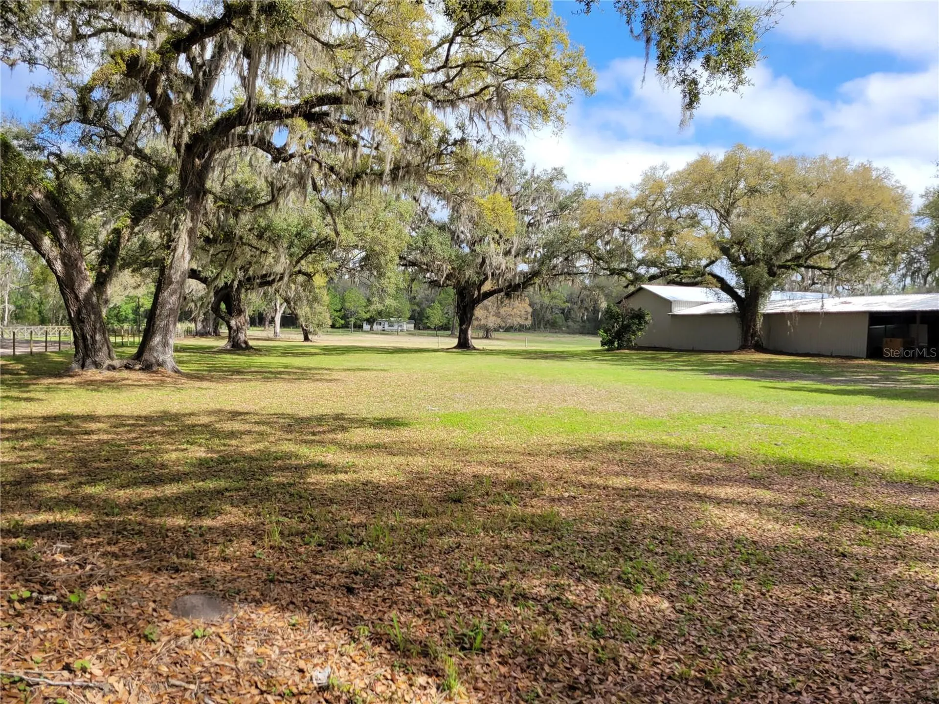 22397 Mondon Hill Road Brooksville FL 34601