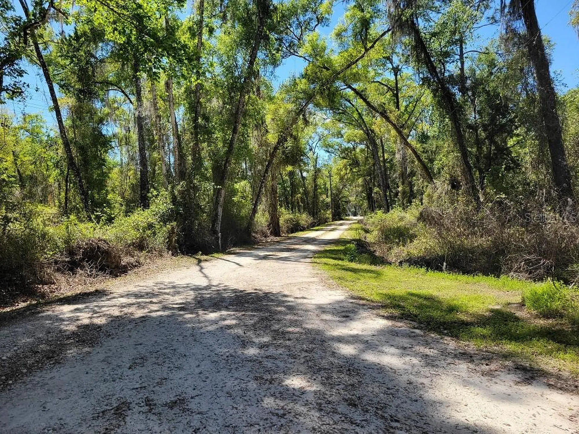 22397 Mondon Hill Road Brooksville FL 34601