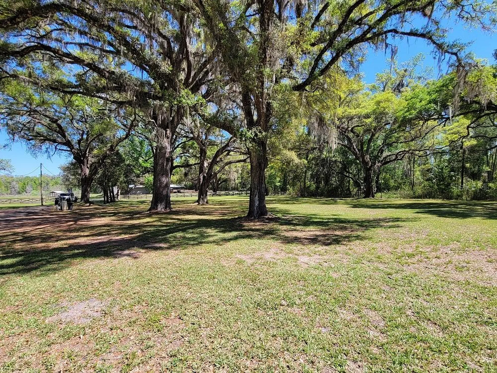 22397 Mondon Hill Road Brooksville FL 34601