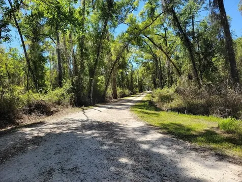 22397 Mondon Hill Road Brooksville FL 34601