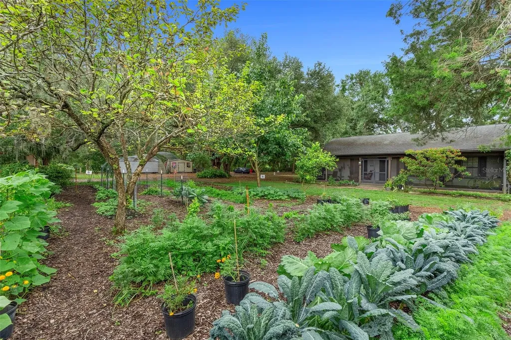 2026 Lewis Road Leesburg FL 34748