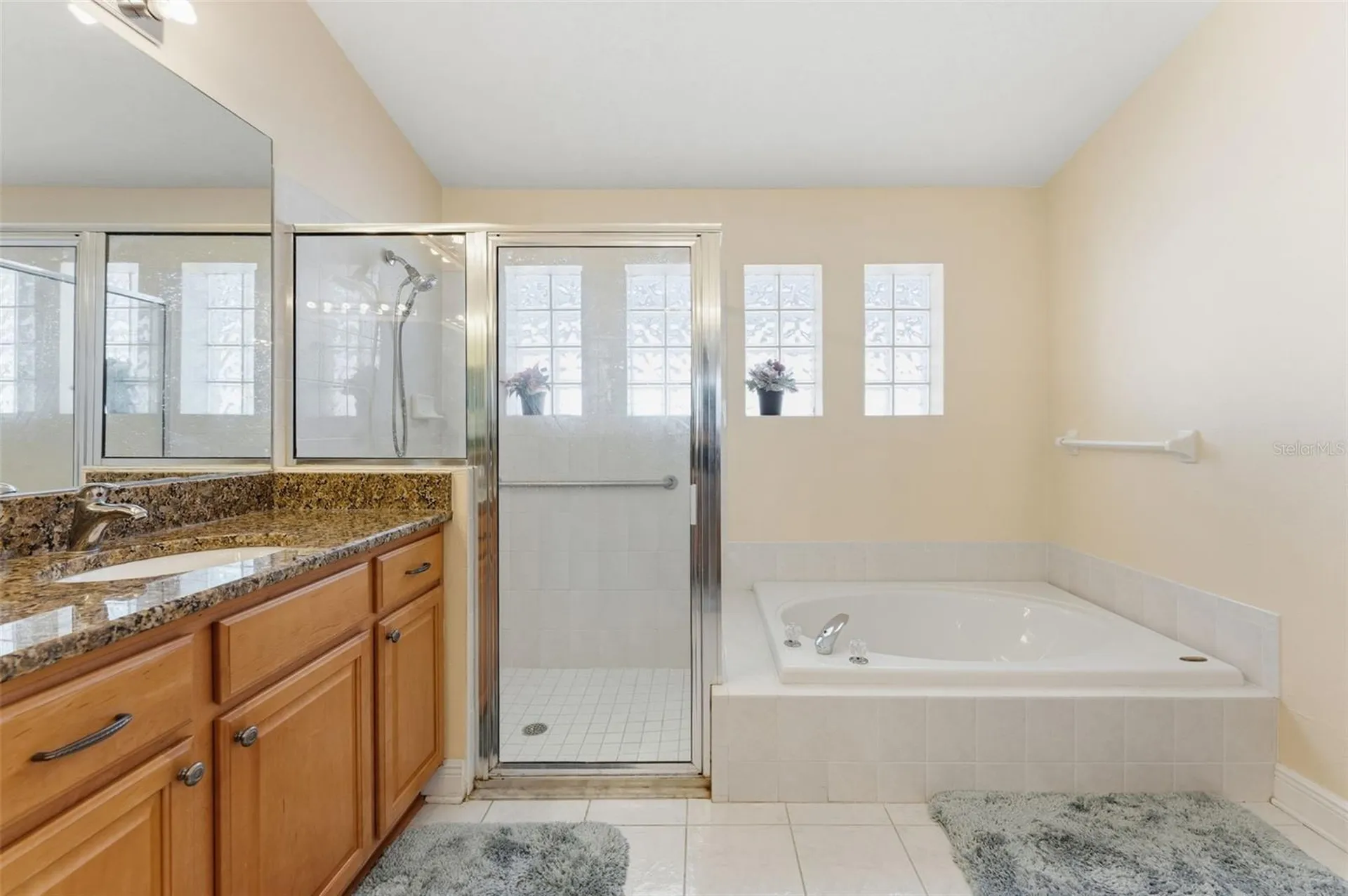 18125 Sweet Jasmine Drive Tampa FL 33647