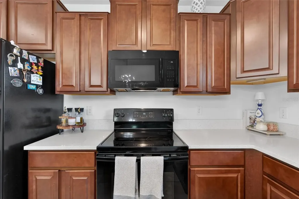 13209 Wildflower Meadow Drive Riverview FL 33579